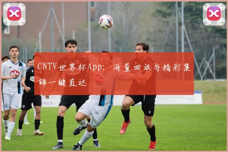 CNTV世界杯App：海量回放与精彩集锦一键直达