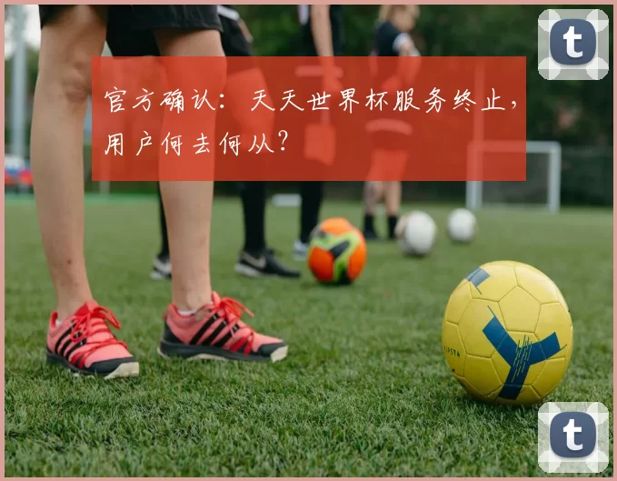 官方确认:天天世界杯服务终止,用户何去何从?