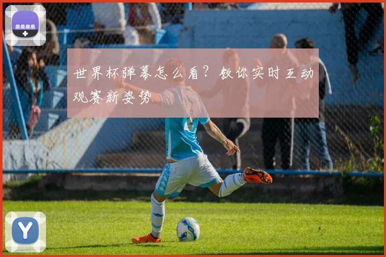 世界杯弹幕怎么看？教你实时互动观赛新姿势