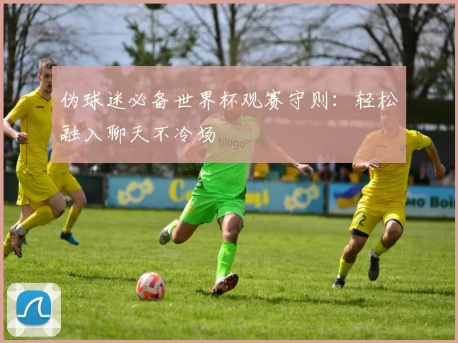 伪球迷必备世界杯观赛守则：轻松融入聊天不冷场