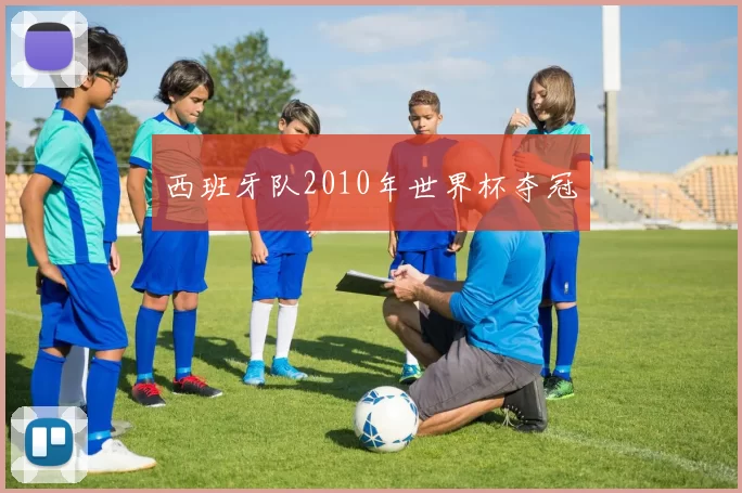 西班牙队2010年世界杯夺冠