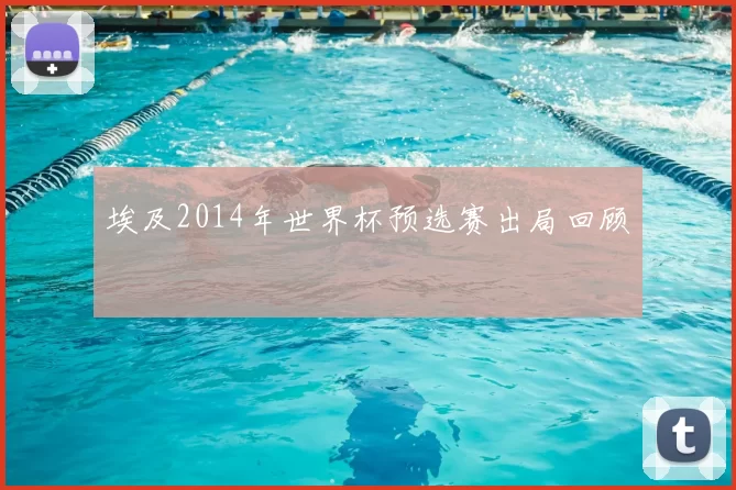 埃及2014年世界杯预选赛出局回顾