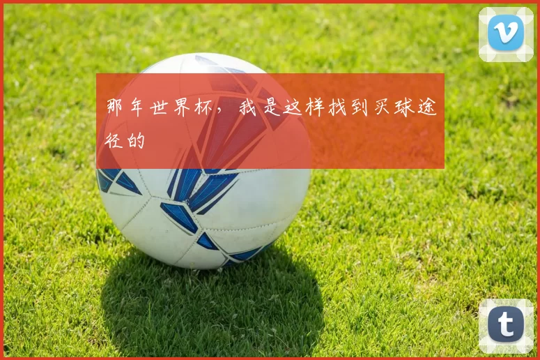 那年世界杯，我是这样找到买球途径的
