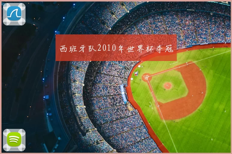 西班牙队2010年世界杯夺冠