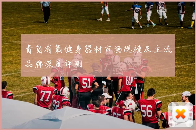 青岛有氧健身器材市场规模及主流品牌深度评测