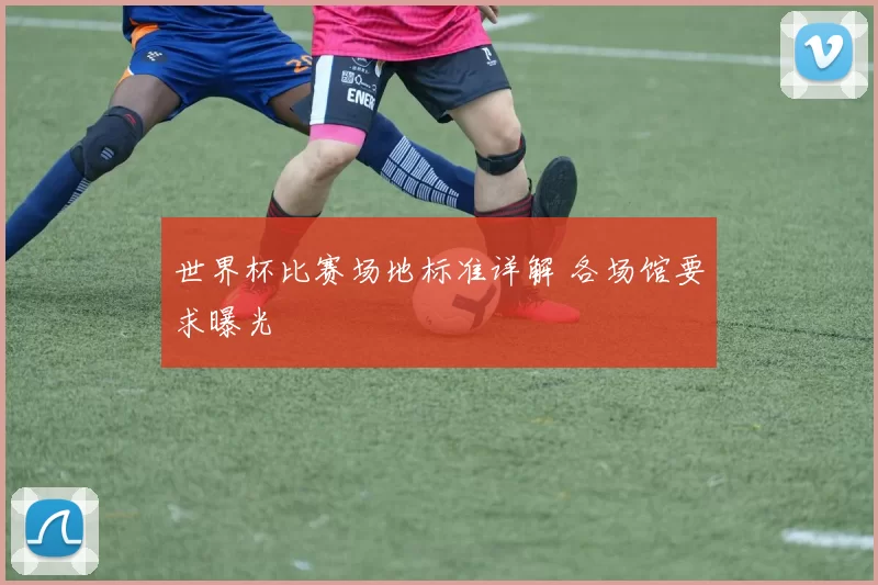 世界杯比赛场地标准详解 各场馆要求曝光