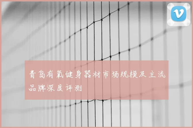 青岛有氧健身器材市场规模及主流品牌深度评测