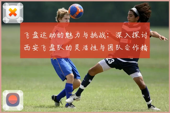 飞盘运动的魅力与挑战:深入探讨西安飞盘队的灵活性与团队合作精神