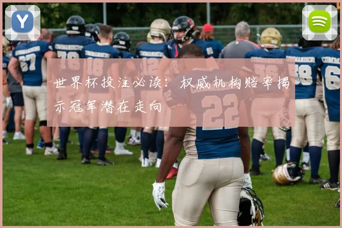 世界杯投注必读：权威机构赔率揭示冠军潜在走向