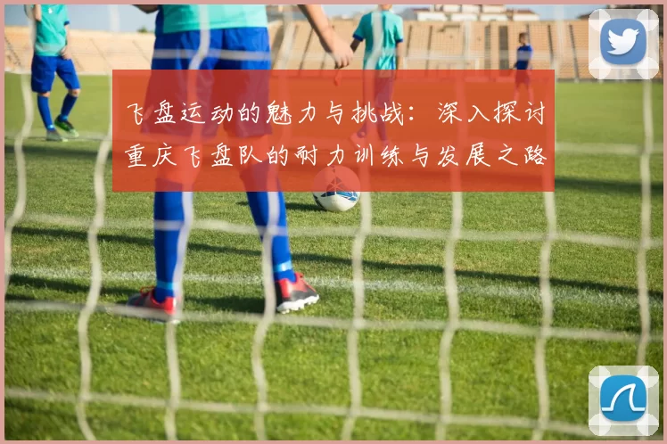 飞盘运动的魅力与挑战:深入探讨重庆飞盘队的耐力训练与发展之路