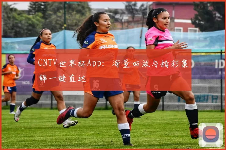 CNTV世界杯App：海量回放与精彩集锦一键直达