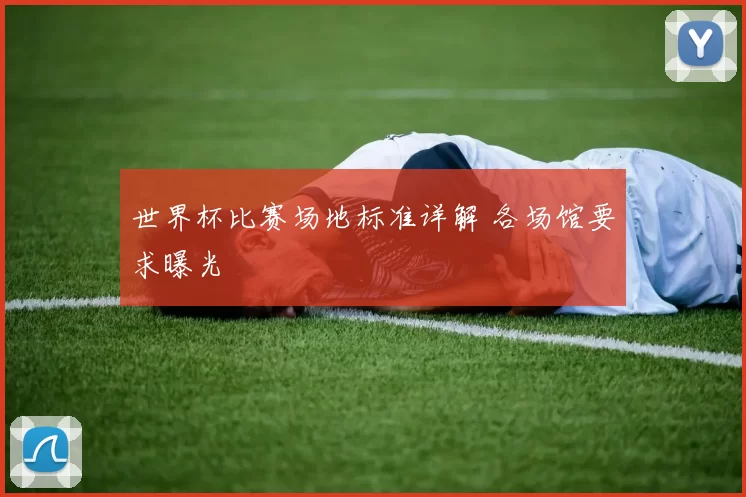 世界杯比赛场地标准详解 各场馆要求曝光